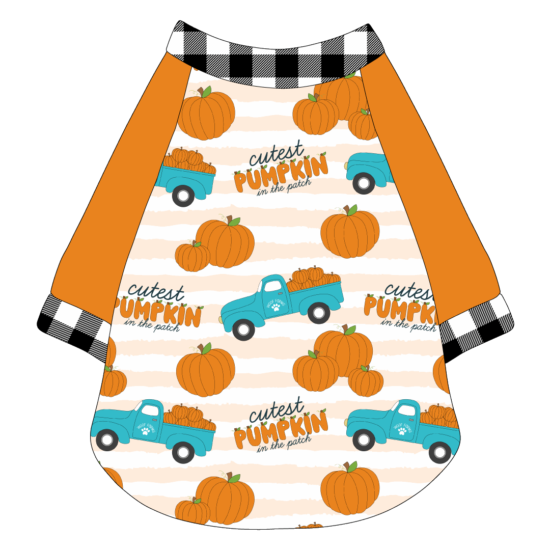 It's Fall Y'all - Cutest Pumpkin In The Patch - The Raglan Jersey