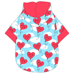 Love Is In The Air - The Hoodie