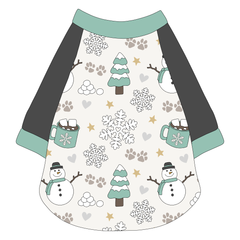 Snow Much Fun - The Raglan Jersey