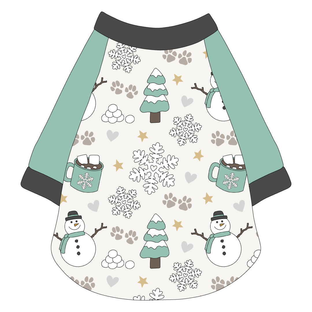 Snow Much Fun - The Raglan Jersey