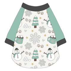 Snow Much Fun - The Raglan Jersey