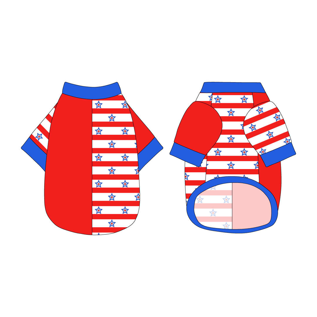 Red, White & BBQ - Stars & Stripes - The 2N1 Tee