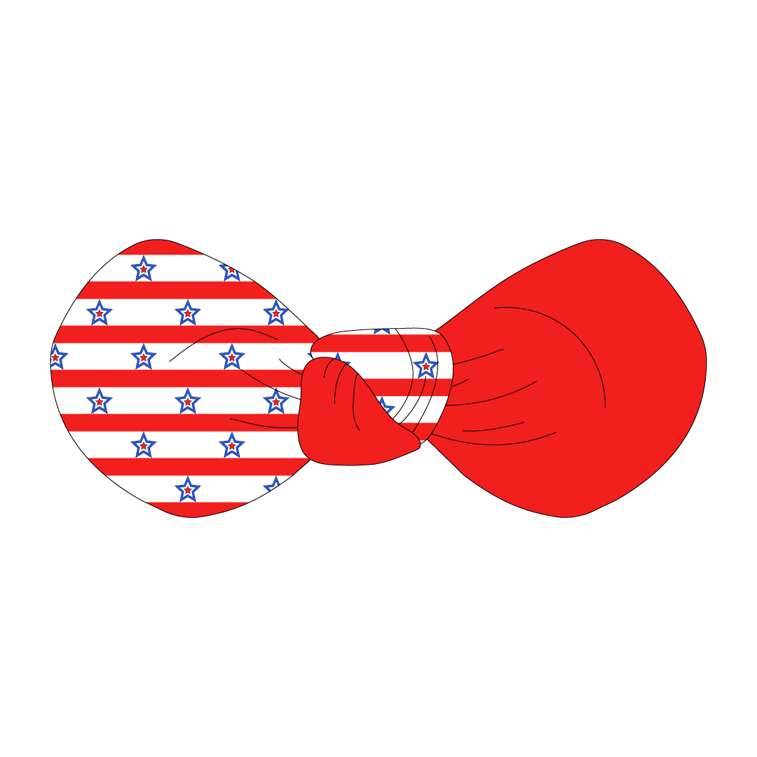 Red, White & BBQ - Stars & Stripes - The Knot Bow