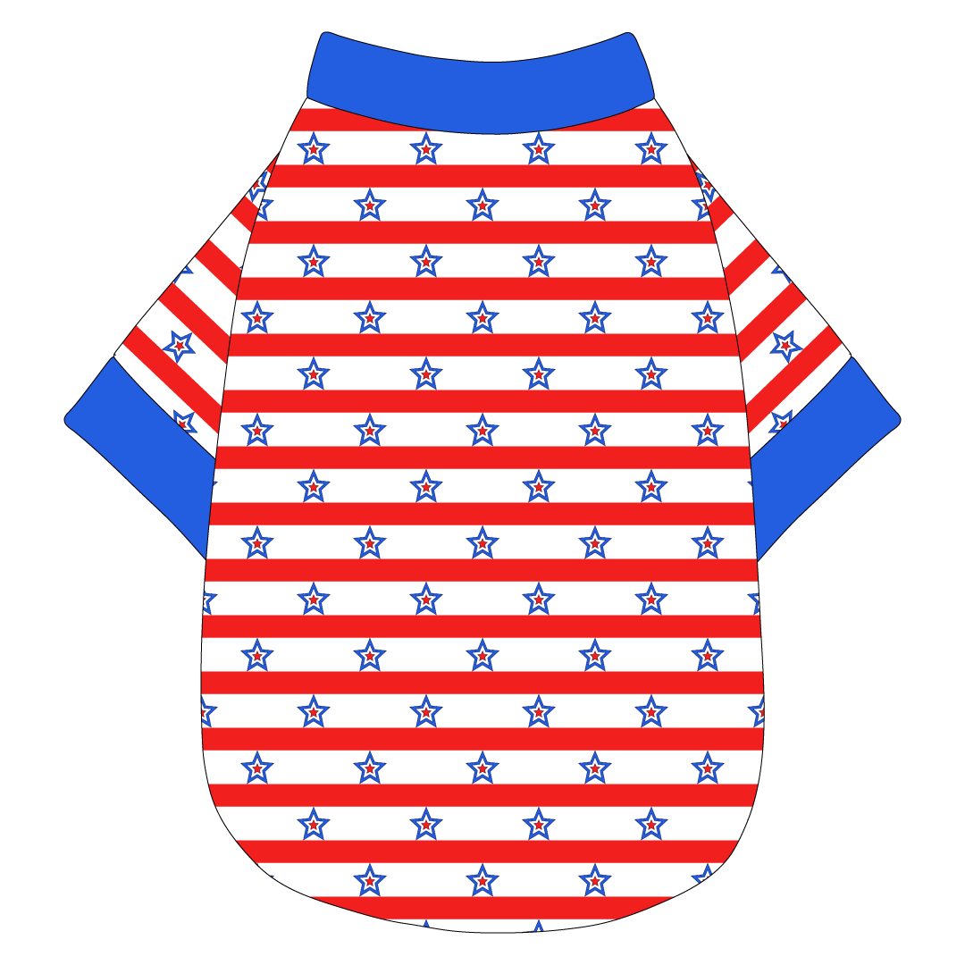 Red, White & BBQ - Stars & Stripes - The Basic Tee