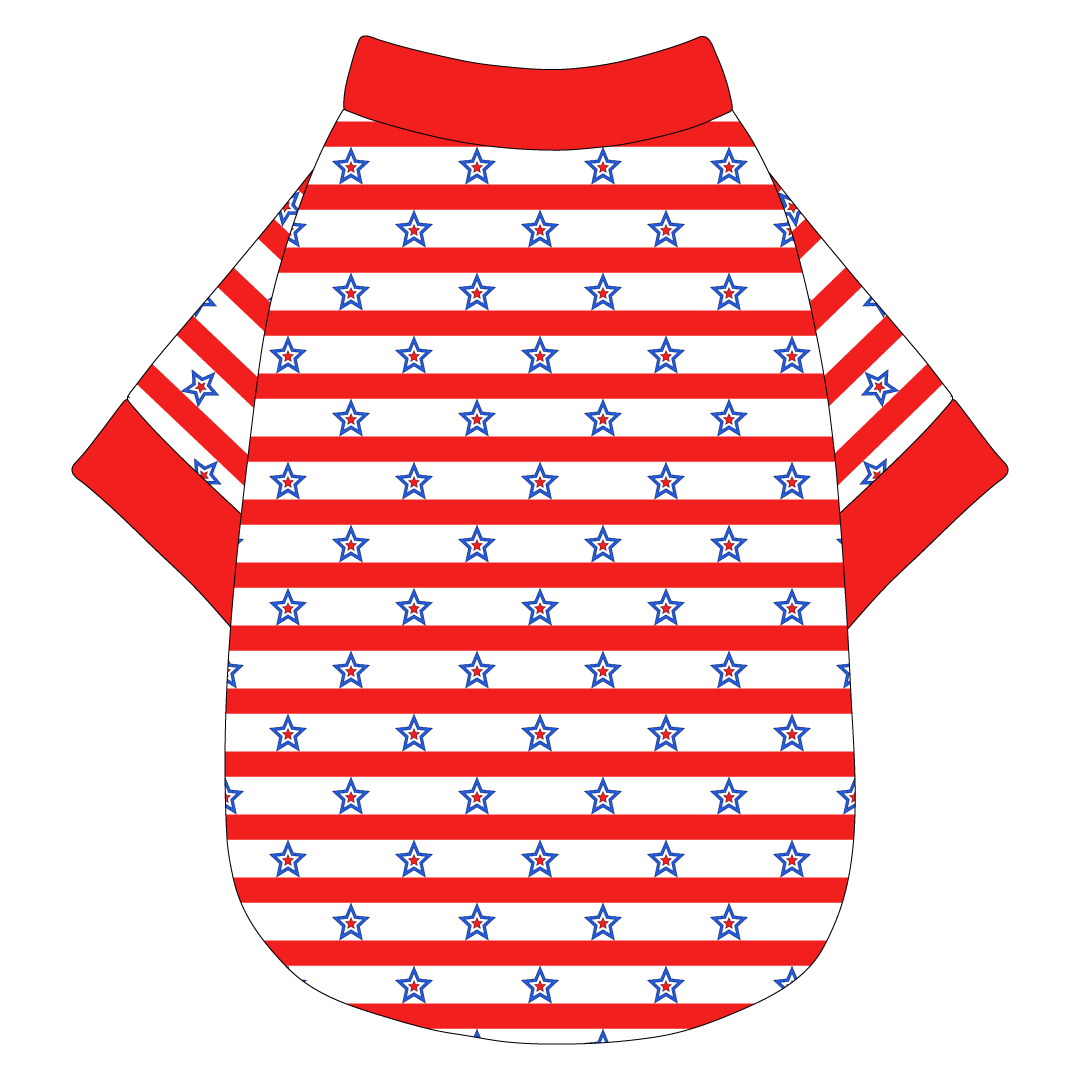 Red, White & BBQ - Stars & Stripes - The Basic Tee