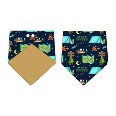 Take Me To The Mountains - The Bandana