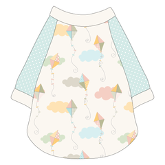 Up And Away - The Raglan Jersey